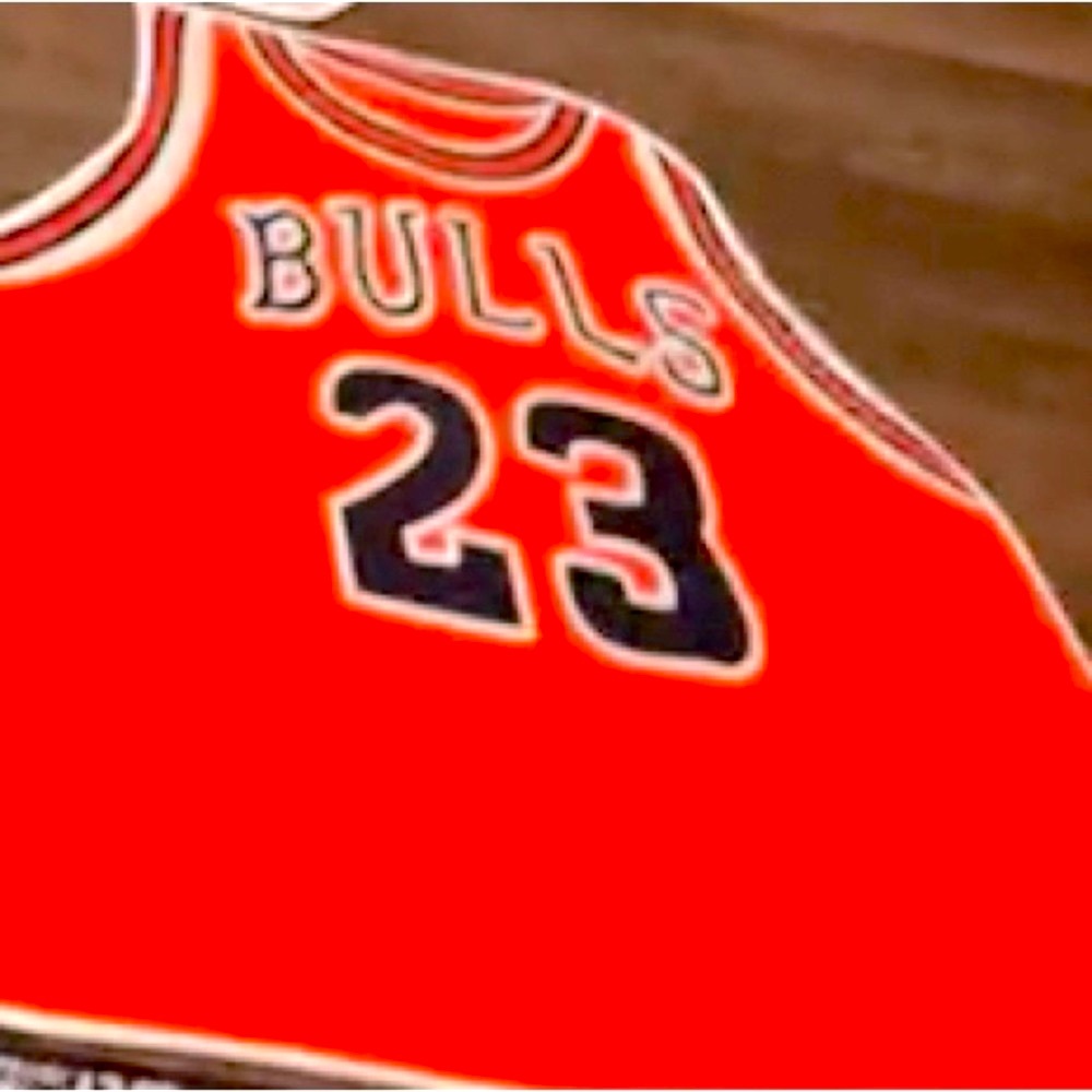 RUG-Chicago bulls RUG- (entry size) rug brand new.